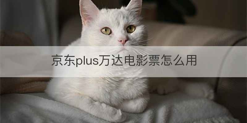 京东plus万达电影票怎么用