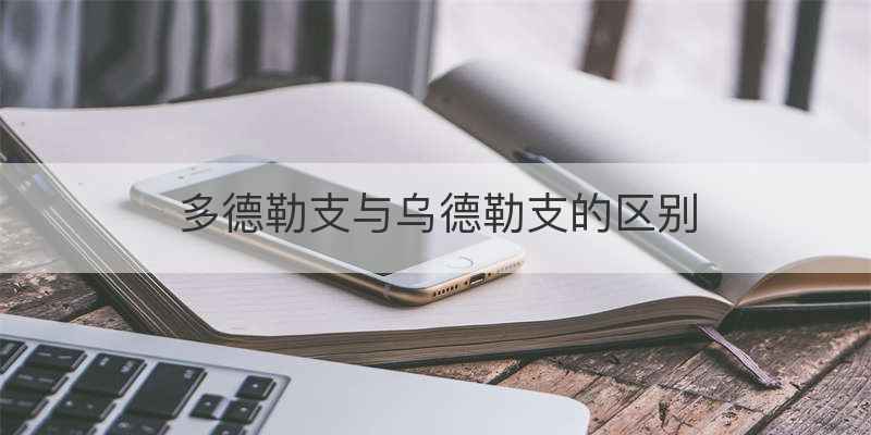 多德勒支与乌德勒支的区别