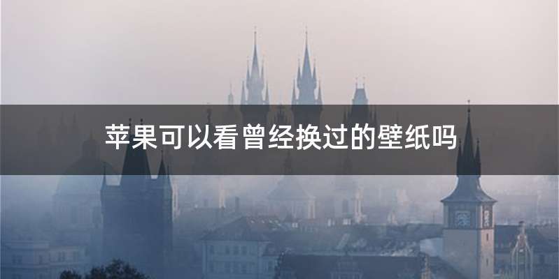 苹果可以看曾经换过的壁纸吗