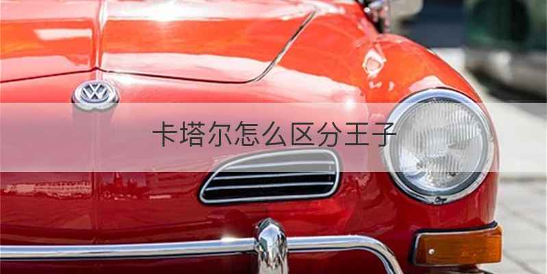 卡塔尔怎么区分王子