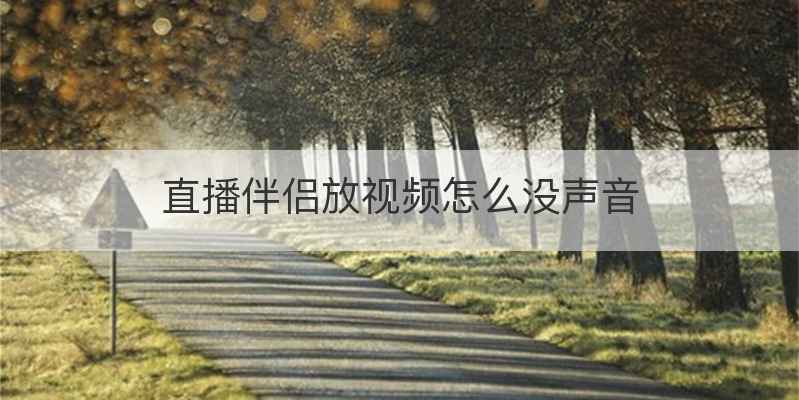 直播伴侣放视频怎么没声音