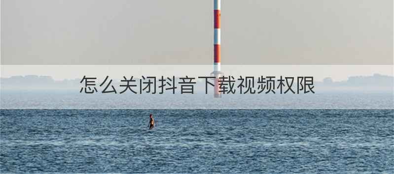 怎么关闭抖音下载视频权限