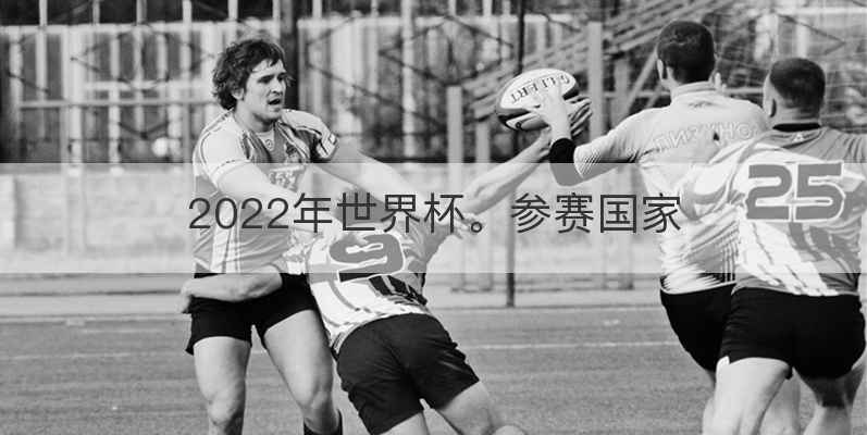 2022年世界杯。参赛国家