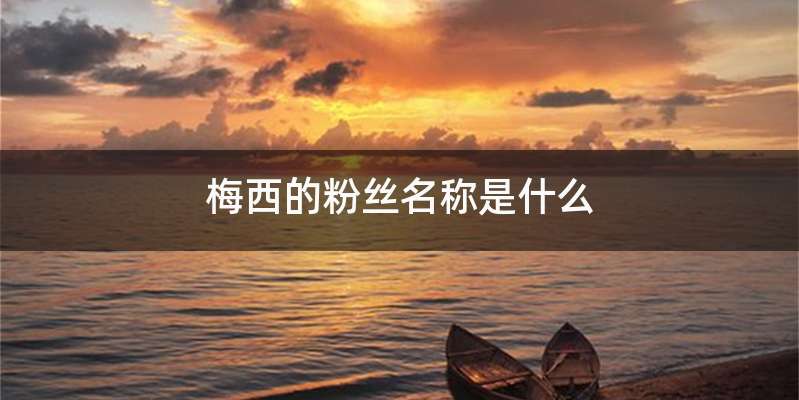 梅西的粉丝名称是什么