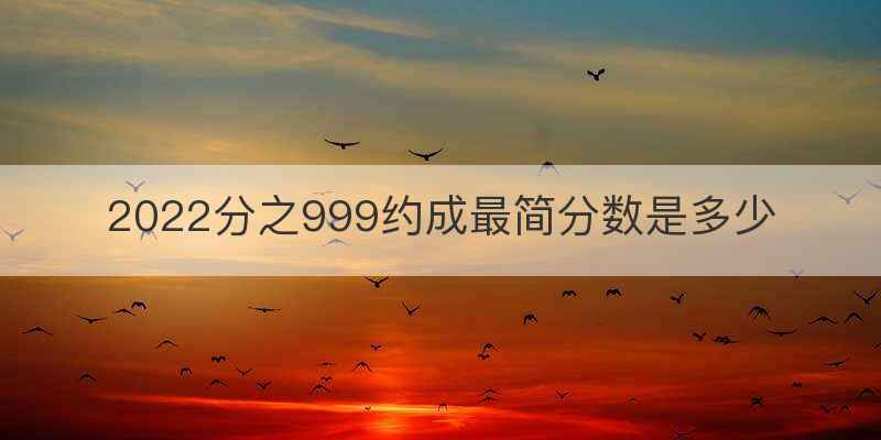2022分之999约成最简分数是多少
