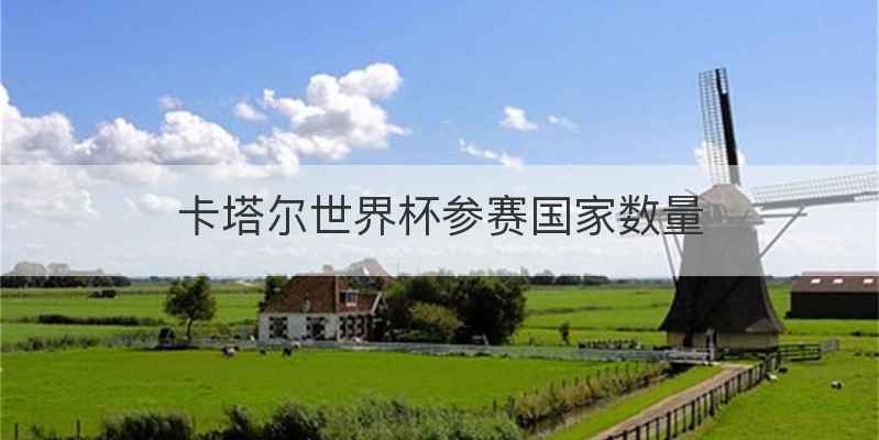 卡塔尔世界杯参赛国家数量