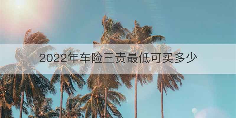 2022年车险三责最低可买多少