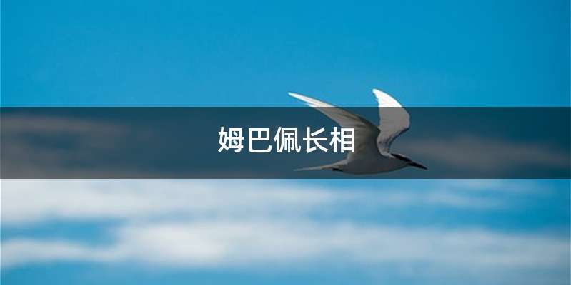 姆巴佩长相