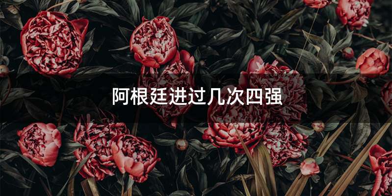 阿根廷进过几次四强