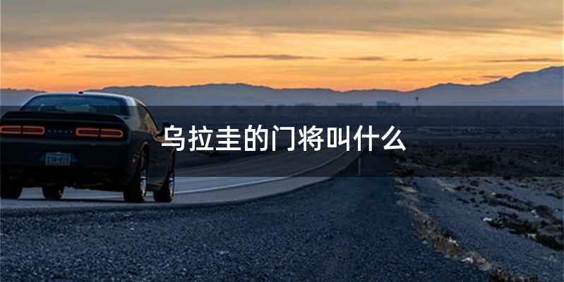 乌拉圭的门将叫什么