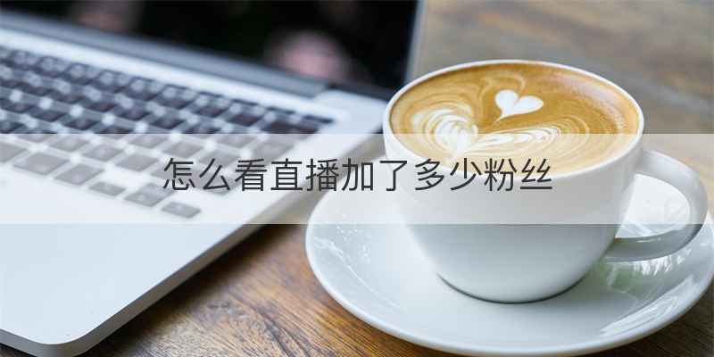 怎么看直播加了多少粉丝