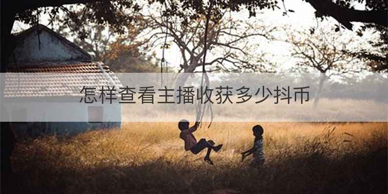 怎样查看主播收获多少抖币