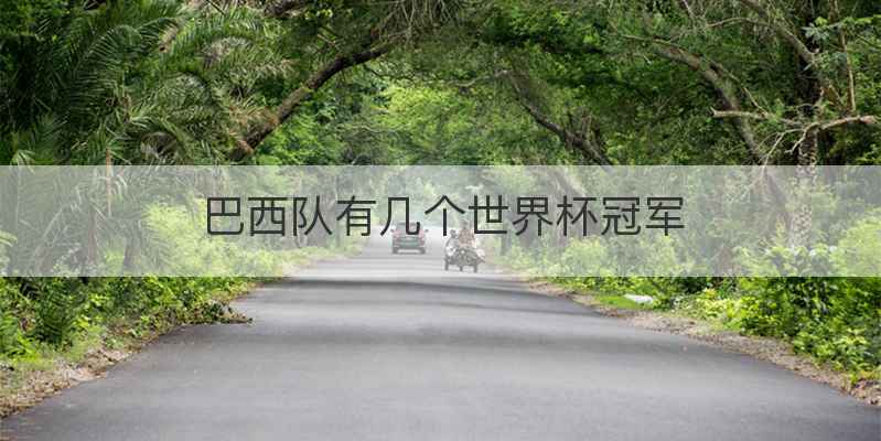 巴西队有几个世界杯冠军