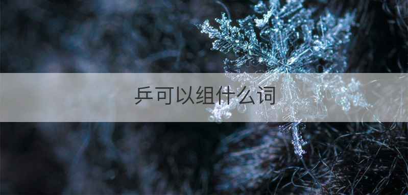 乒可以组什么词