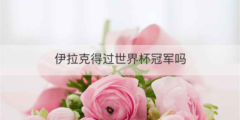 伊拉克得过世界杯冠军吗