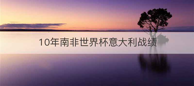 10年南非世界杯意大利战绩