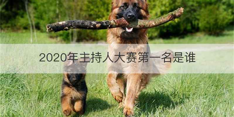 2020年主持人大赛第一名是谁