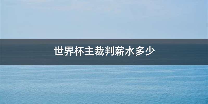 世界杯主裁判薪水多少