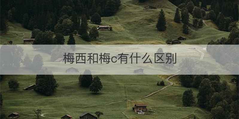 梅西和梅c有什么区别