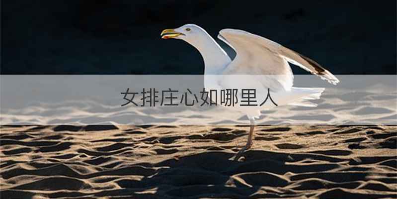 女排庄心如哪里人