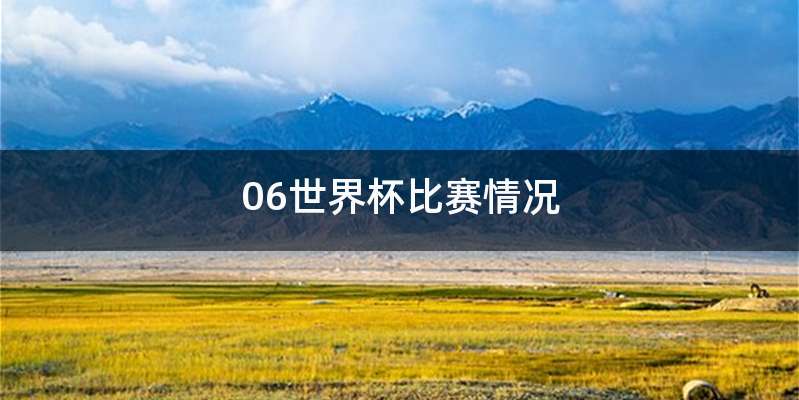 06世界杯比赛情况