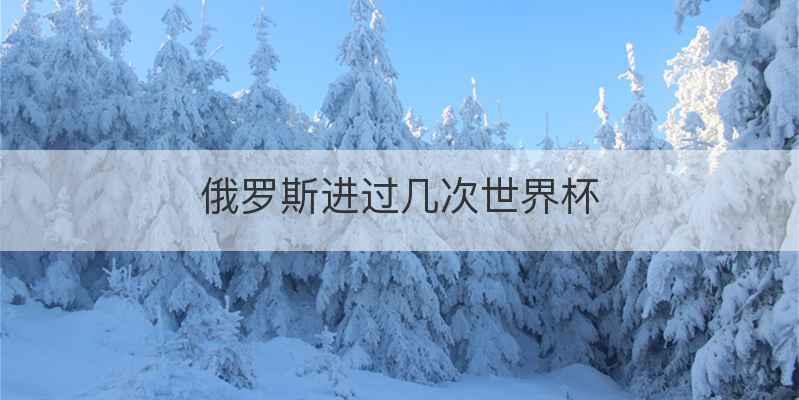 俄罗斯进过几次世界杯