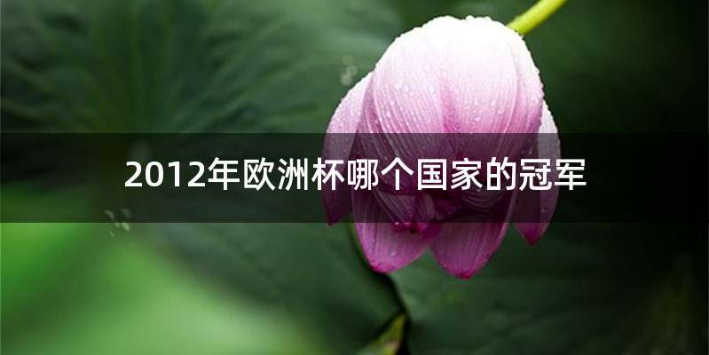 2012年欧洲杯哪个国家的冠军