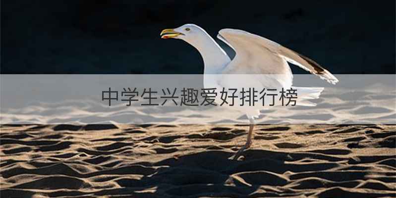 中学生兴趣爱好排行榜
