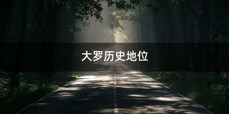 大罗历史地位