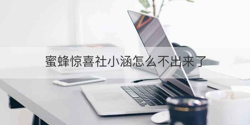 蜜蜂惊喜社小涵怎么不出来了