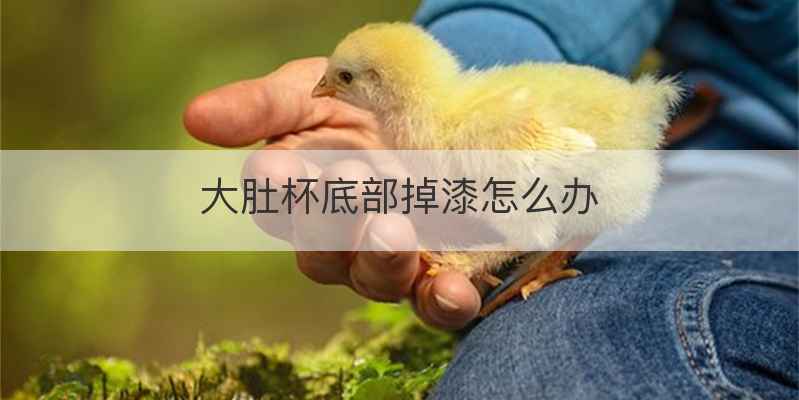 大肚杯底部掉漆怎么办