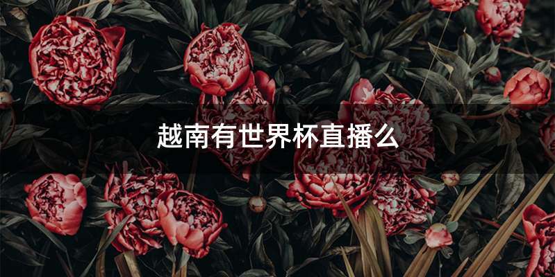 越南有世界杯直播么