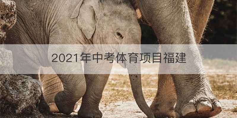 2021年中考体育项目福建