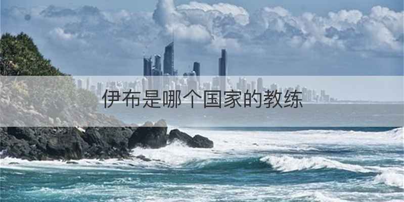 伊布是哪个国家的教练