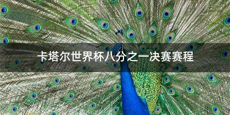 卡塔尔世界杯八分之一决赛赛程