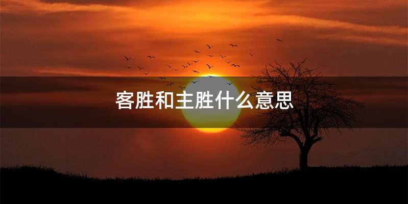 客胜和主胜什么意思