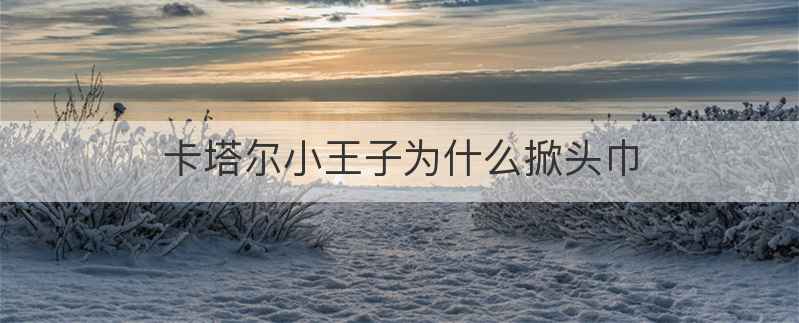 卡塔尔小王子为什么掀头巾