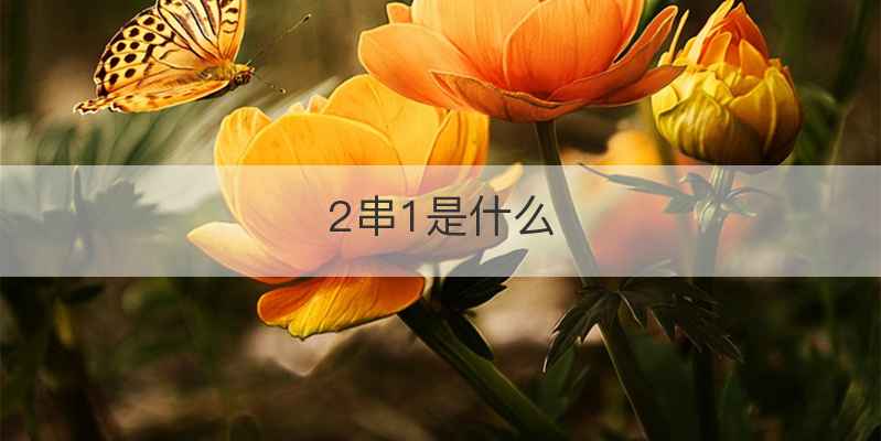 2串1是什么