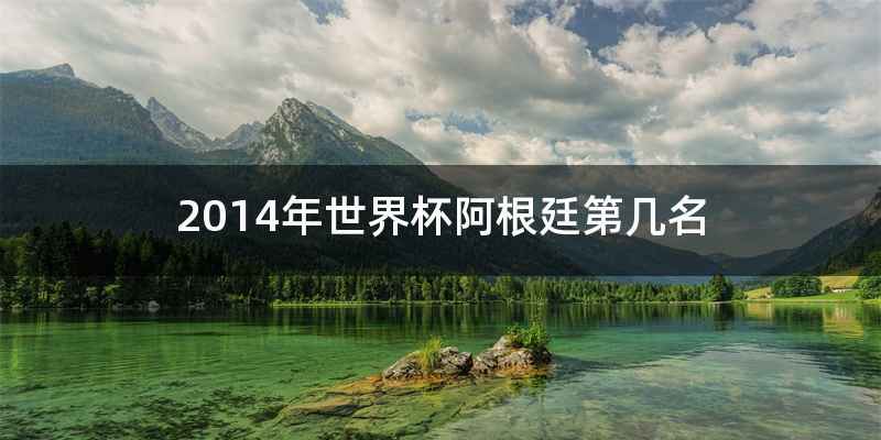 2014年世界杯阿根廷第几名