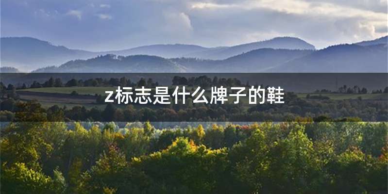 z标志是什么牌子的鞋