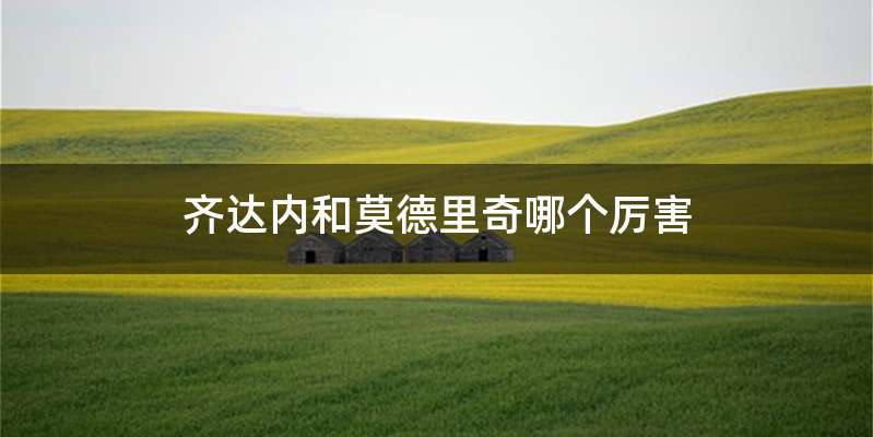 齐达内和莫德里奇哪个厉害