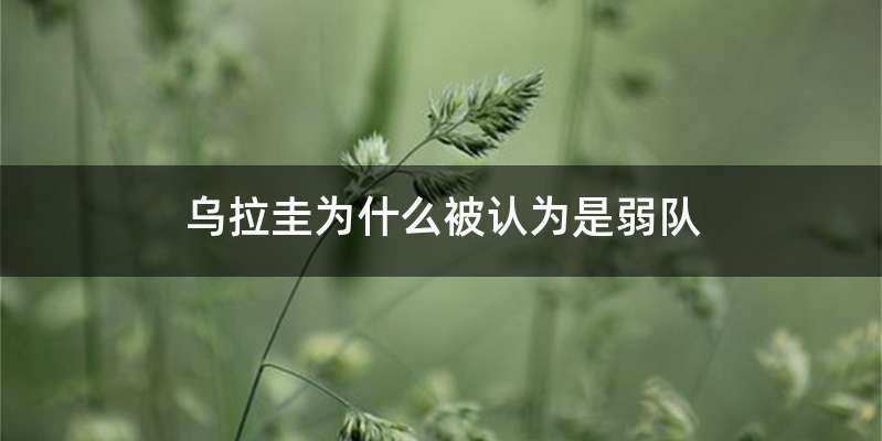 乌拉圭为什么被认为是弱队