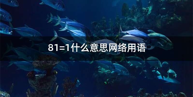 81=1什么意思网络用语