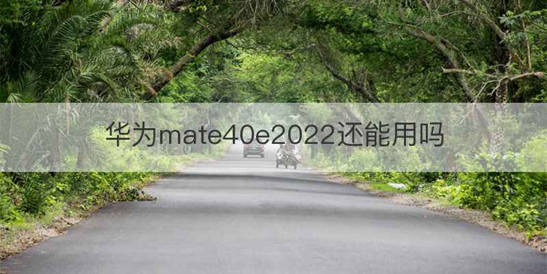 华为mate40e2022还能用吗