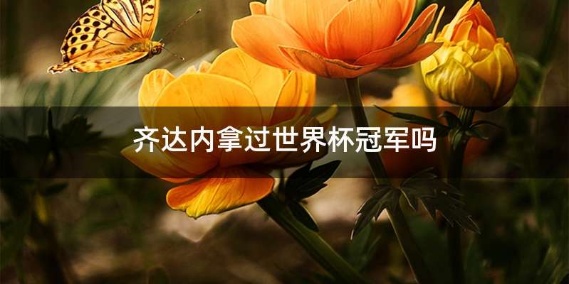 齐达内拿过世界杯冠军吗