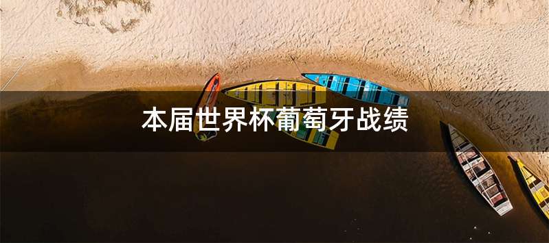 本届世界杯葡萄牙战绩