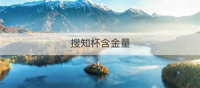 搜知杯含金量