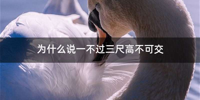 为什么说一不过三尺高不可交