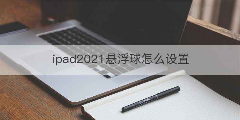 世界杯伊朗队服什么颜色