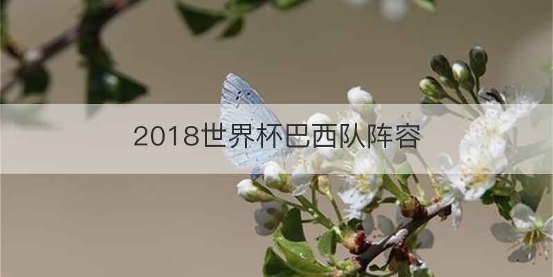 2018世界杯巴西队阵容